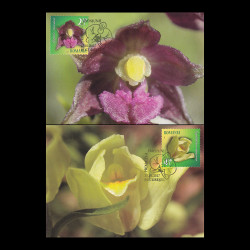 Orhidee sălbatice, cărți poștale maxime 2017 LP 2132CM