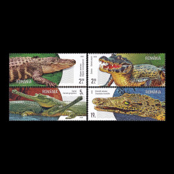 Crocodili 2020 LP 2307
