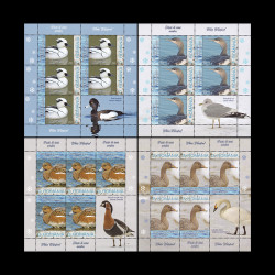 Păsări de iarnă acvatice, minicoală de 5 timbre și 1 vinietă, 2024 LP 2447b