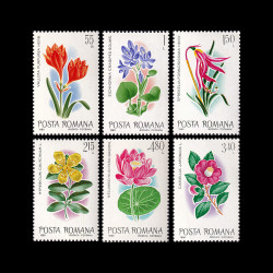 Flori exotice din Grădina Botanică București, 1980, LP 1007