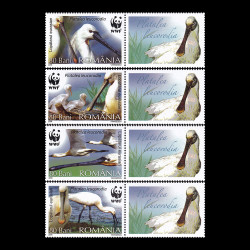 Păsări protejate - Lopătarul eurasian, WWF, serie cu vinietă 2006 LP 1744a