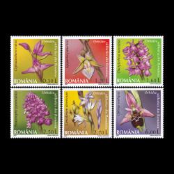 Orhidee sălbatice din România 2007 LP 1758