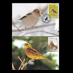 Păsări cântătoare, cărți poștale maxime 2015 LP 2057CM