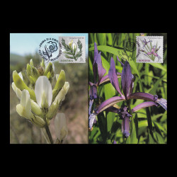Flori din Grădini Botanice, cărți poștale maxime 2015 LP 2071CM