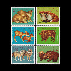Pui de animale sălbatice, 1972, LP 785